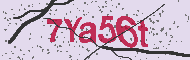 Code captcha
